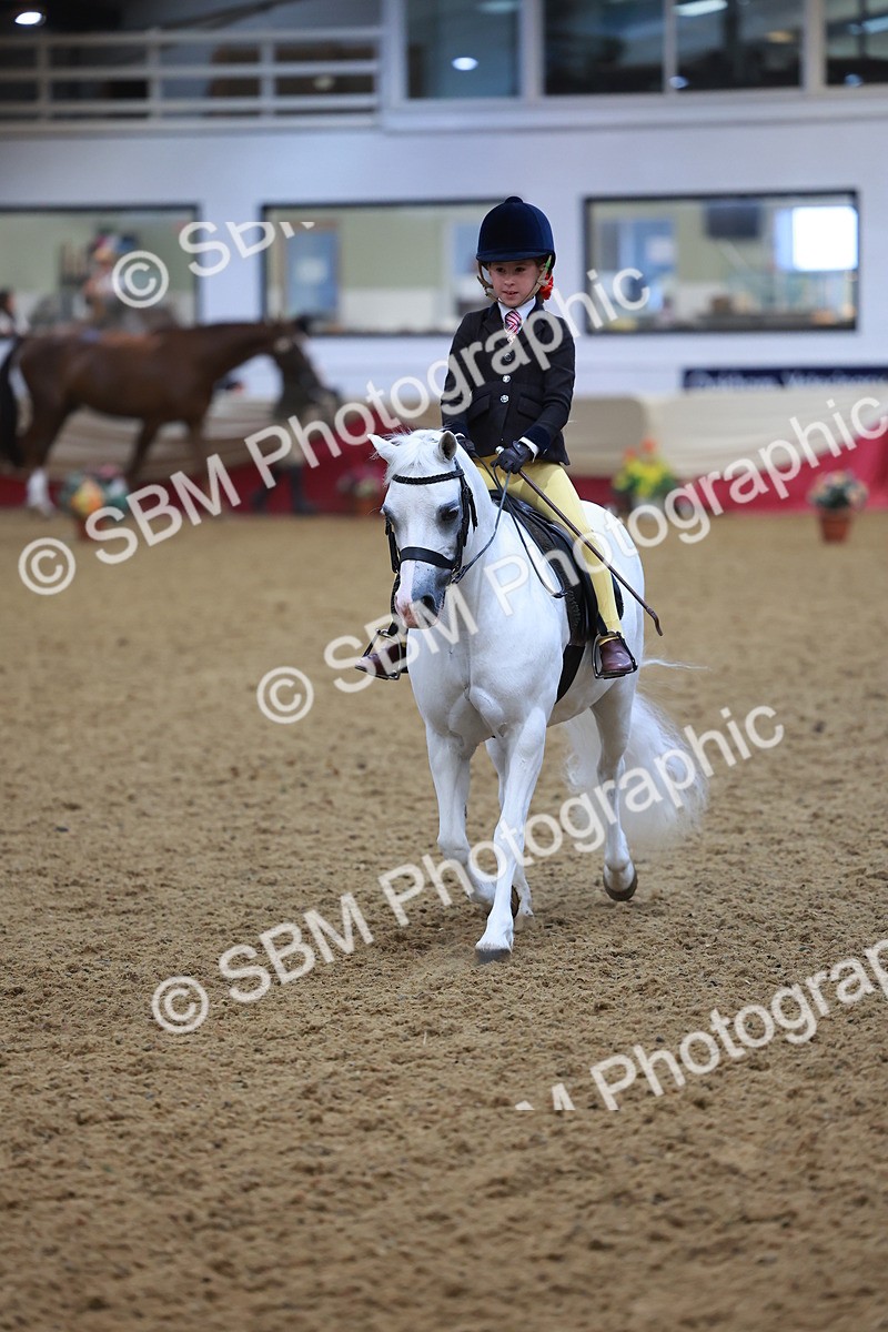 SBM_10692 - Class 103 - HOYS Veteran Qualifier - Ridden Pre Vet