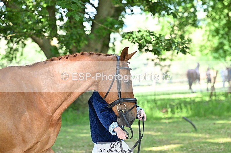 250521A-164859-01351 - C-263-Gini.Hope-PETER.PAN