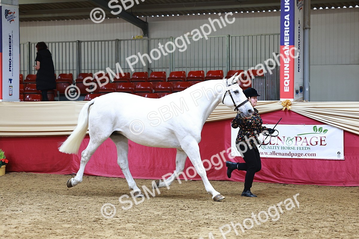 SBM_23068 - Class 903 - Supreme Final - IH Pre Vet