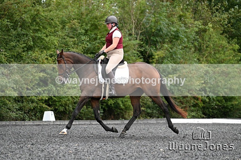 WJ7_2823 - Lyford Stud Dressage Championships 07-09-24