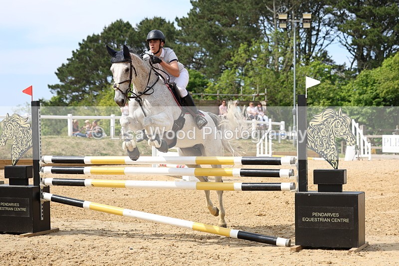 3E7A7236 - Class 7: Senior Newcomers/1.10m open