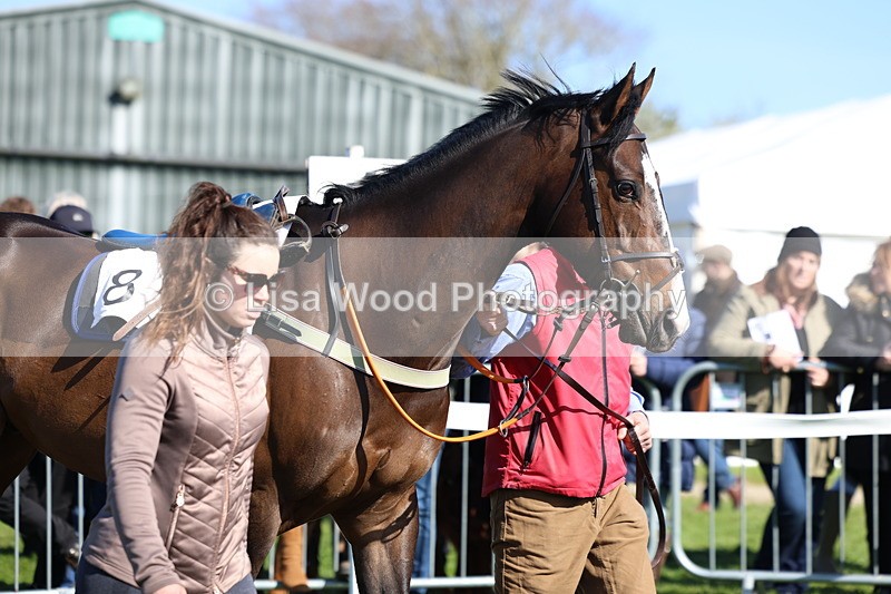 3E7A5604 - Race 6: Maiden (NWFAA)