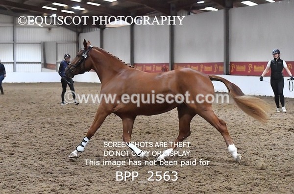 BPP_2563 - LOOSE JUMPING / SPSS