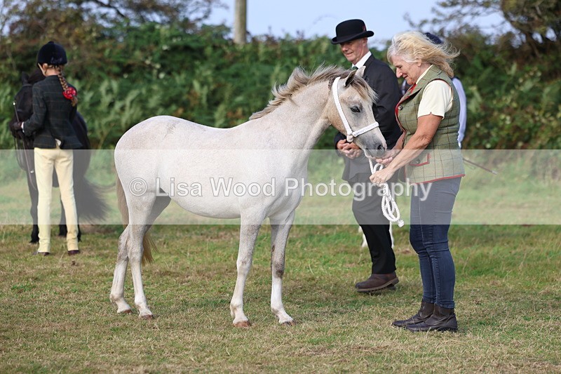 3E7A3253 - Class 12: M & M Small Breeds