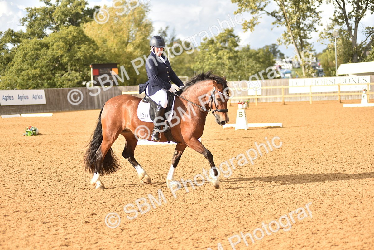 SBM_29650 - D16 -Small Tour Championship Novice 2