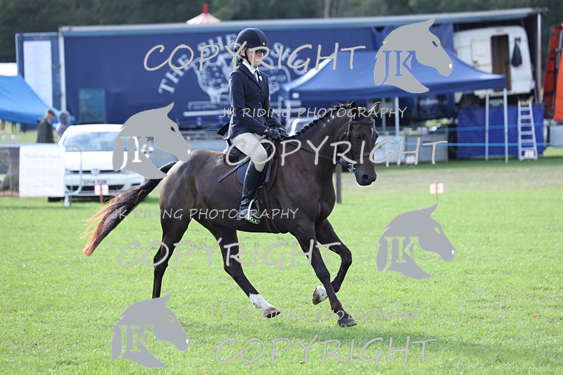 APP_4170 - Class 15a/b Pony club pony/Riding club horse