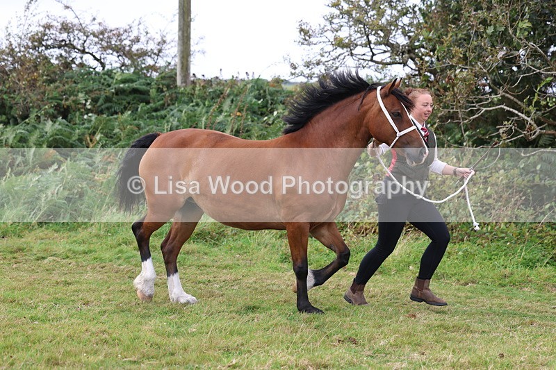 3E7A4564 - Class 16: Best Grass Kept