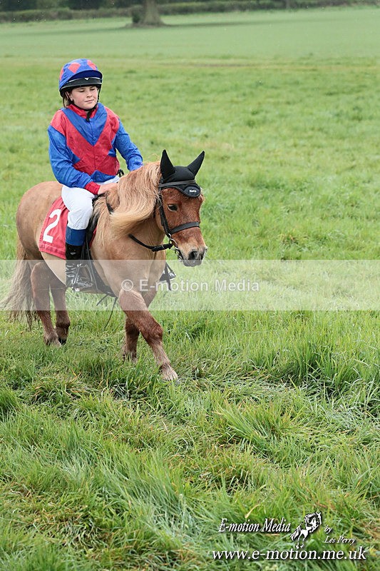 SHETPR 210425 155 - Shetland Ponies Paxford Races 21/04/25