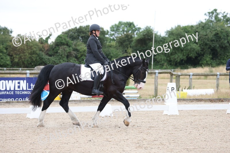 20250706-0097 - Class 11 - MQ Open Novice Test 3