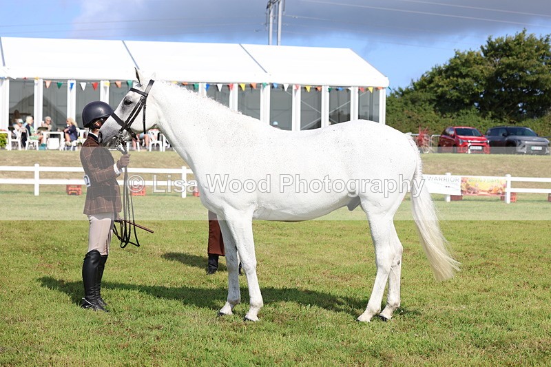 3E7A9119 - Class 3: Rising Star S/L Hunter