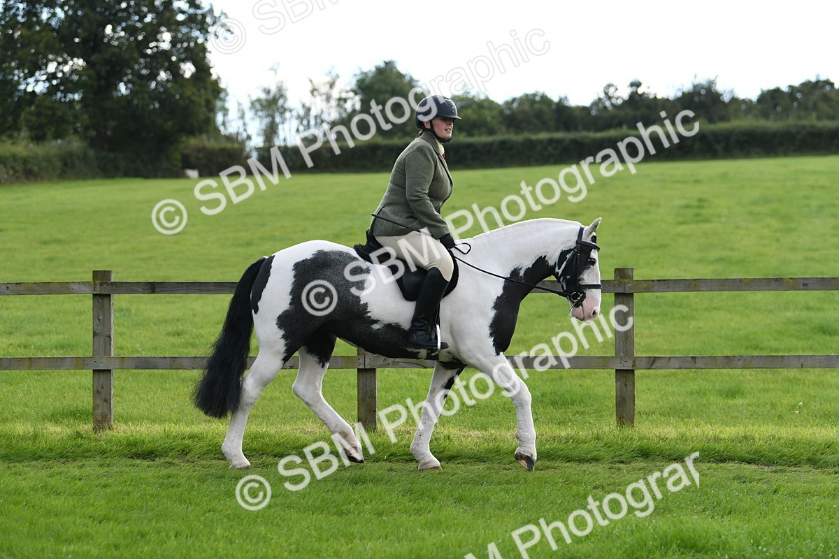 SBM_46749 - S12 - Family Horse & Pony