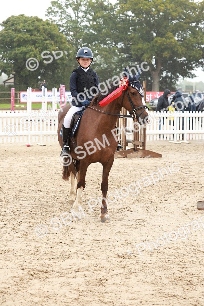 SBM_73574 - Supreme Championship Junior Pony 60cm & 65cm