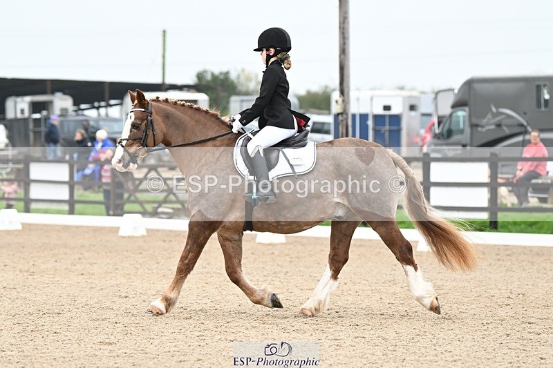 241103-113757-00555 - Intro 3 - 10.50 to 11.44