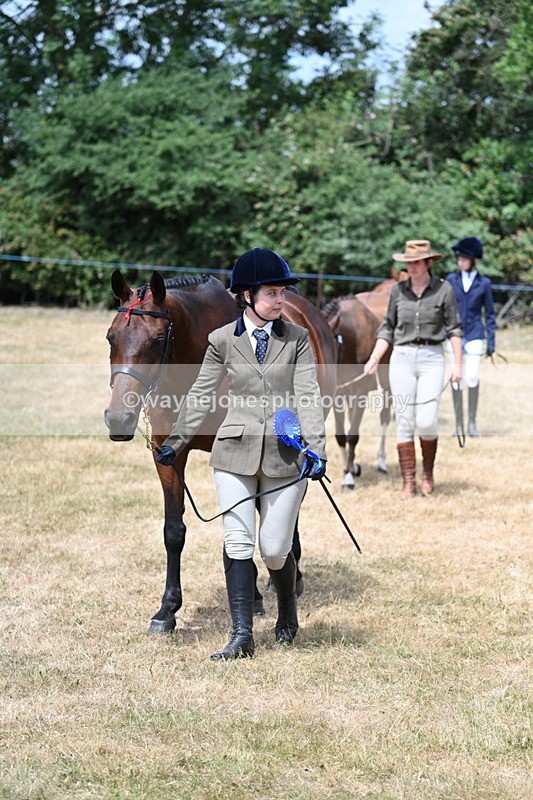 WJ7_2080 - Prettiest Mare Champs