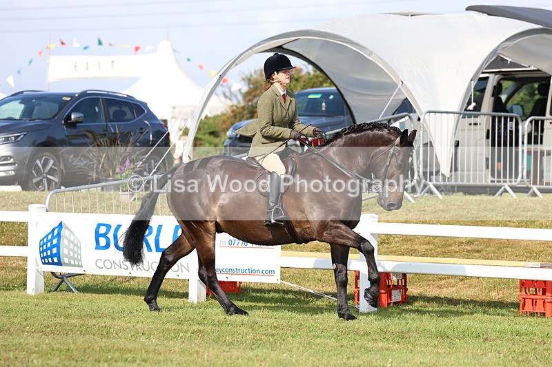 3E7A8541 - Class 3: Rising Star S/L Hunter