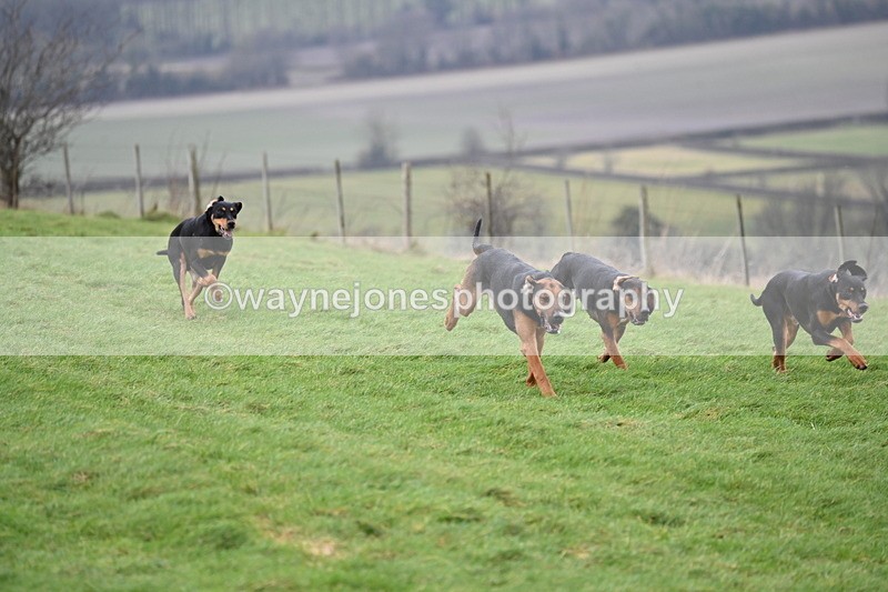 WJ6_7788 - Cam B