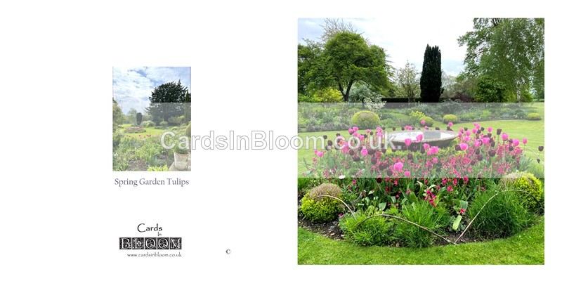 027 Spring garden - Tulips - FLORAL GREETING CARDS
