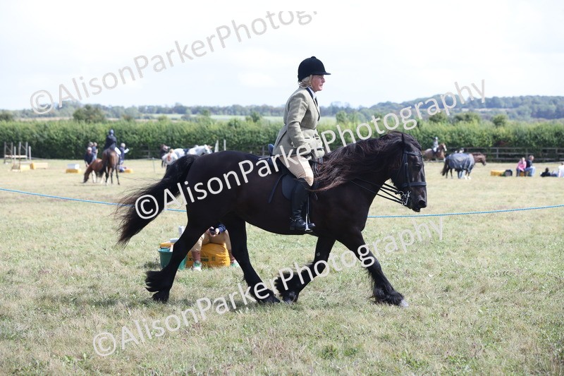 20250831-2918 - Class 19 - Mountain and Moorland