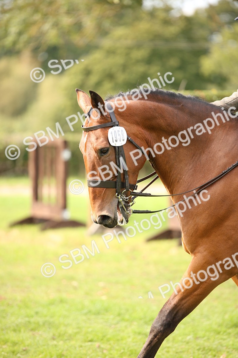 SBM_70422 - S66 - Hunter Ridden