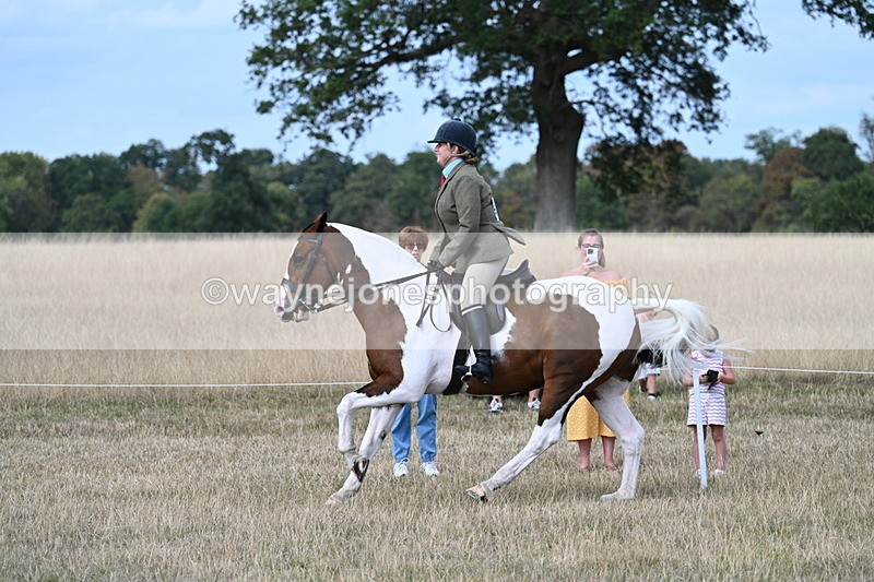 WJ7_7291 - Class 14 Ridden Coloured