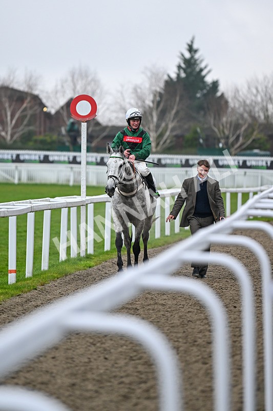 131224-Race 5-Numitor-9467 - Race 5