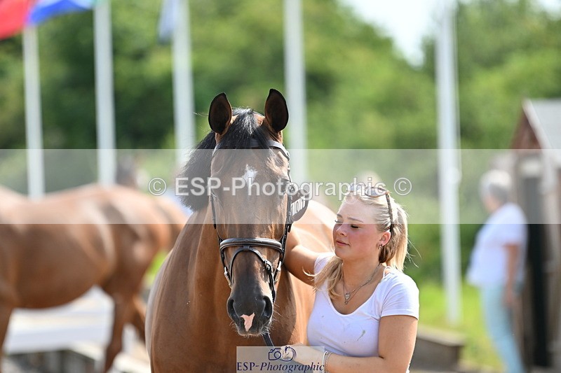 240717A-155510-03186 - Trot Up 3pm to 4pm