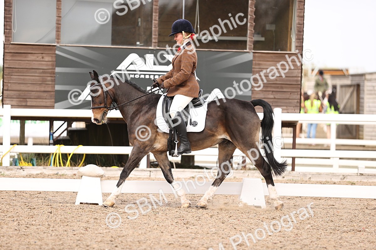 SBM_06050 - Class 37 Novice 5