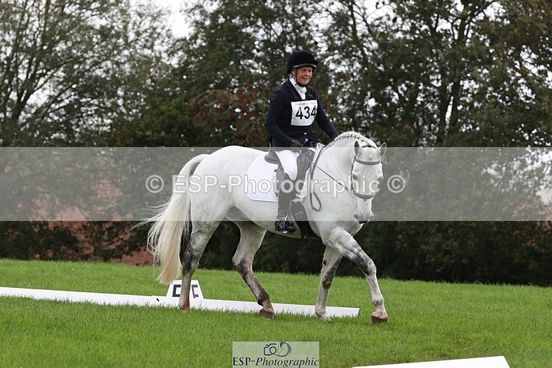 231019-122740-03641 - 434-SPINK.BUSTER-Sue.Parkes-DR