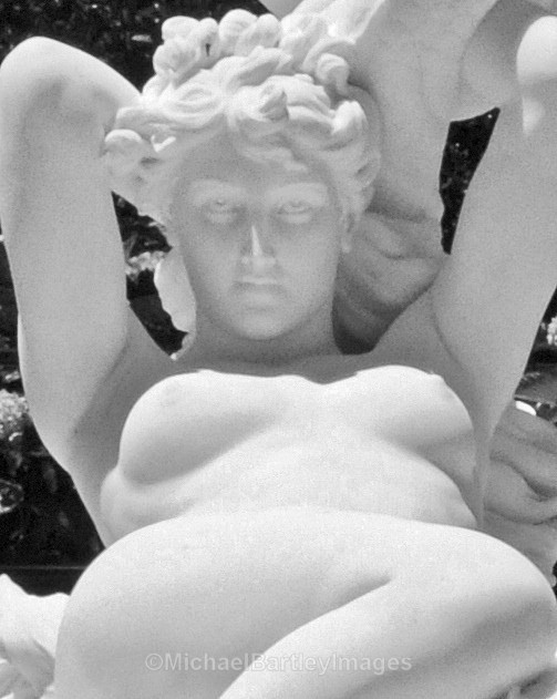 Marble Nude - Black and White