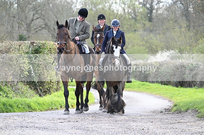 WJ7_9927 - Walk Home