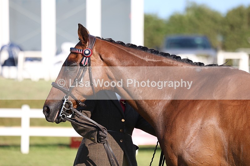 3E7A5155 - Class 1: Rising Star Small Hack/Riding Horses