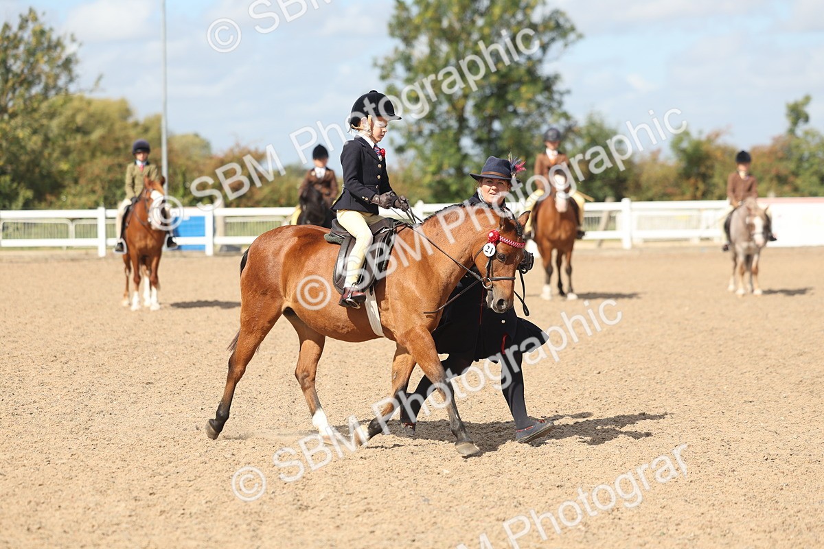 SBM_23146 - Class 806 - Young Rider 10ry and Under
