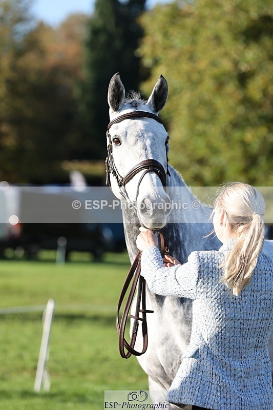 241027-092452-15276 - 306-Alice.Sandiford-THE.GREY.DANCER