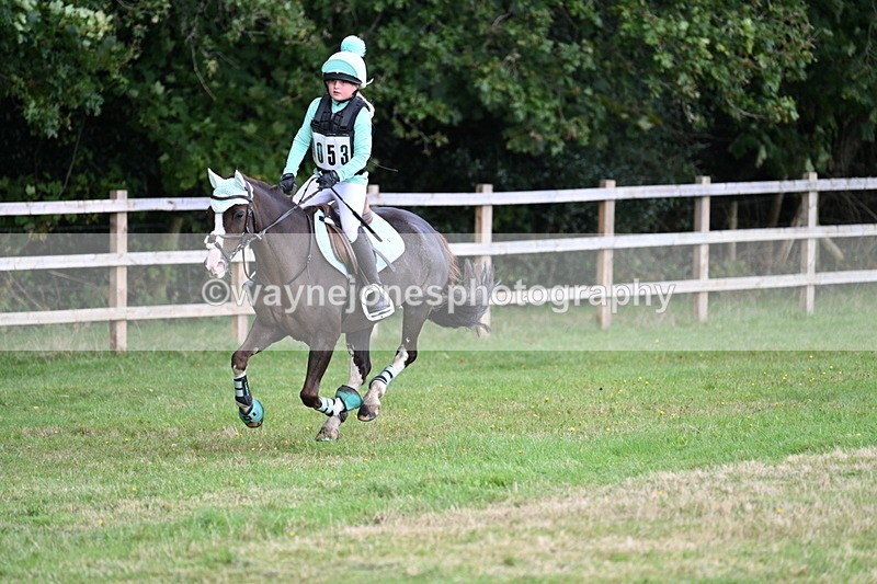 WJ7_8326 - 60cm Time 12:11 to 12:30
