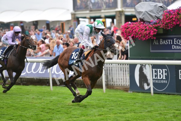 yr20082021r5-27 - Race 5 4.10pm British Stallion Studs EBF Convivial Maiden Stakes (Plus 10 Race)