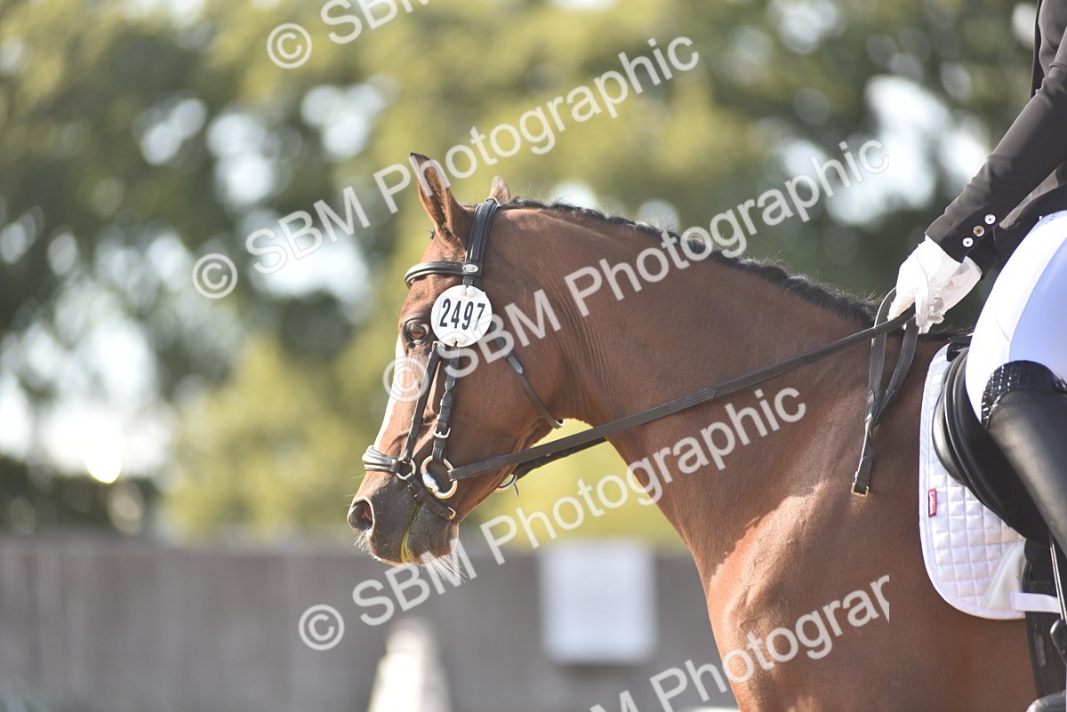 SBM_53257 - D24 - Junior Championship Prelim 3