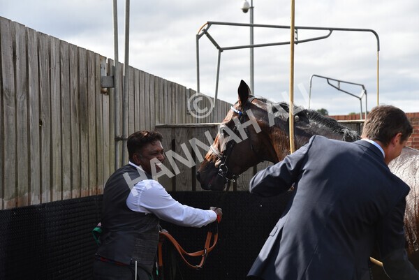 yr17082022r4-186 - Race 4 3.35pm Juddmonte International Stakes (British Champions Series Race)