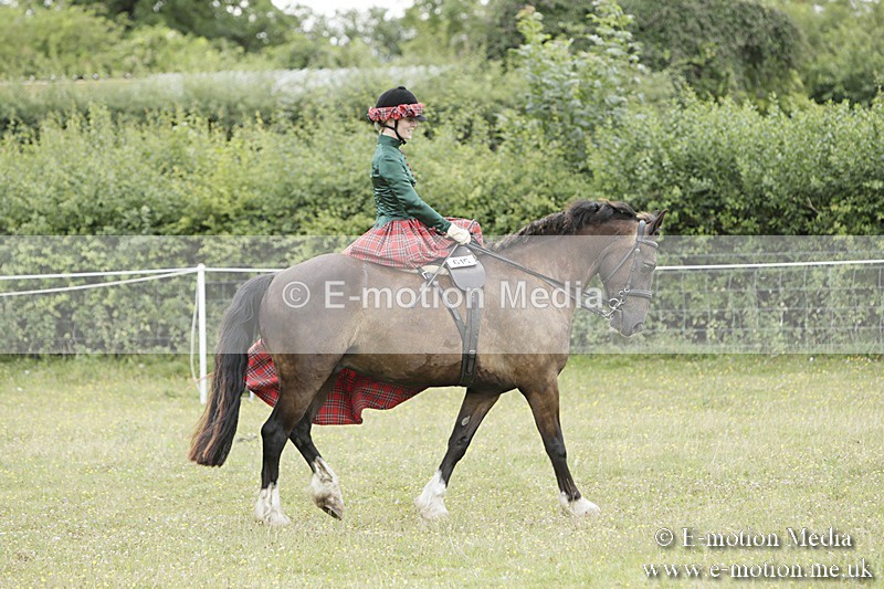BVR160717-2415 - Side Saddle Classes 16/07/17