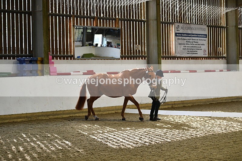 WJ5_3616 - Class 5 In Hand Veterans