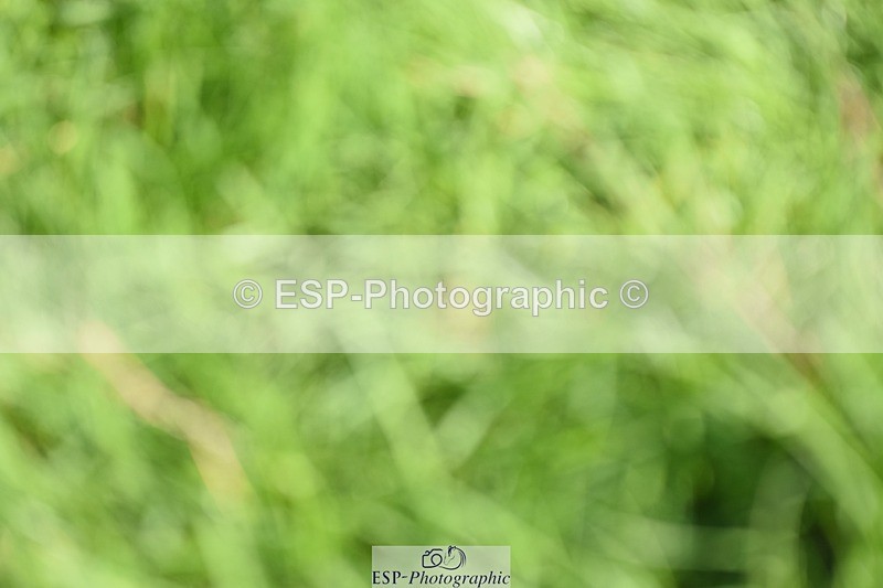 230805-165920-06052 - XC Start to 17.00