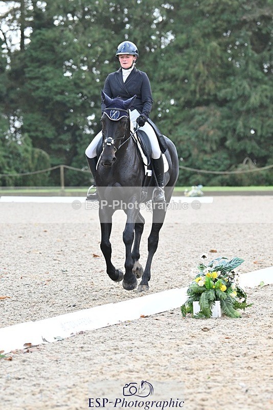 231019-104230-01937 - 102-BAGHEERA-Althea.Bleekman-DR