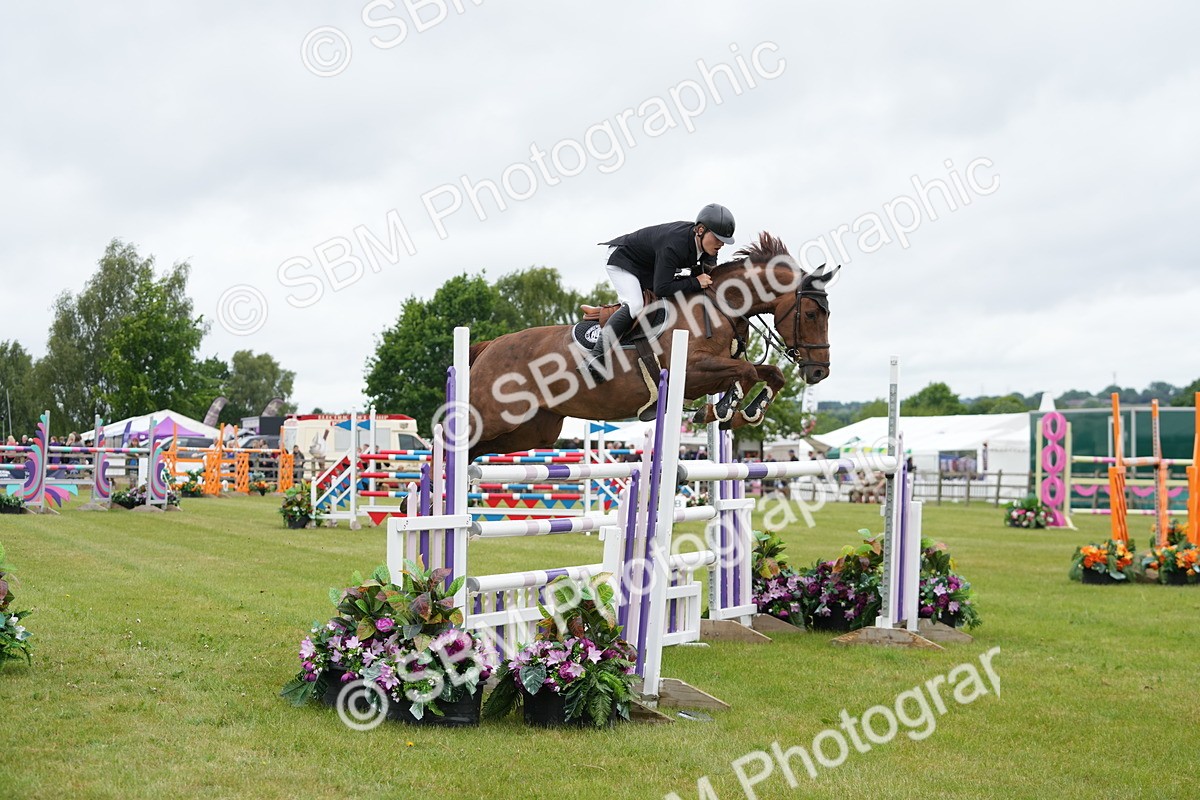 SBM_03433 - Class 201 - British Horse Feeds Speedi Beet Horse of the Year Show Grade  C