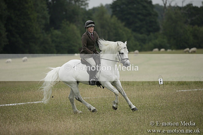B230619-0355 - Bourne Valley Riding Club Summer Show 23/06/19