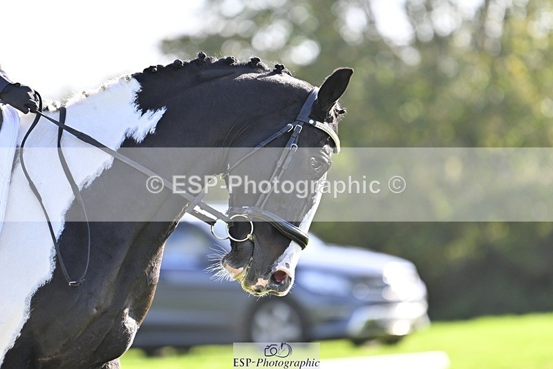 241025-142923-09667 - 387-Kelly.Knockaert-PIPER.II