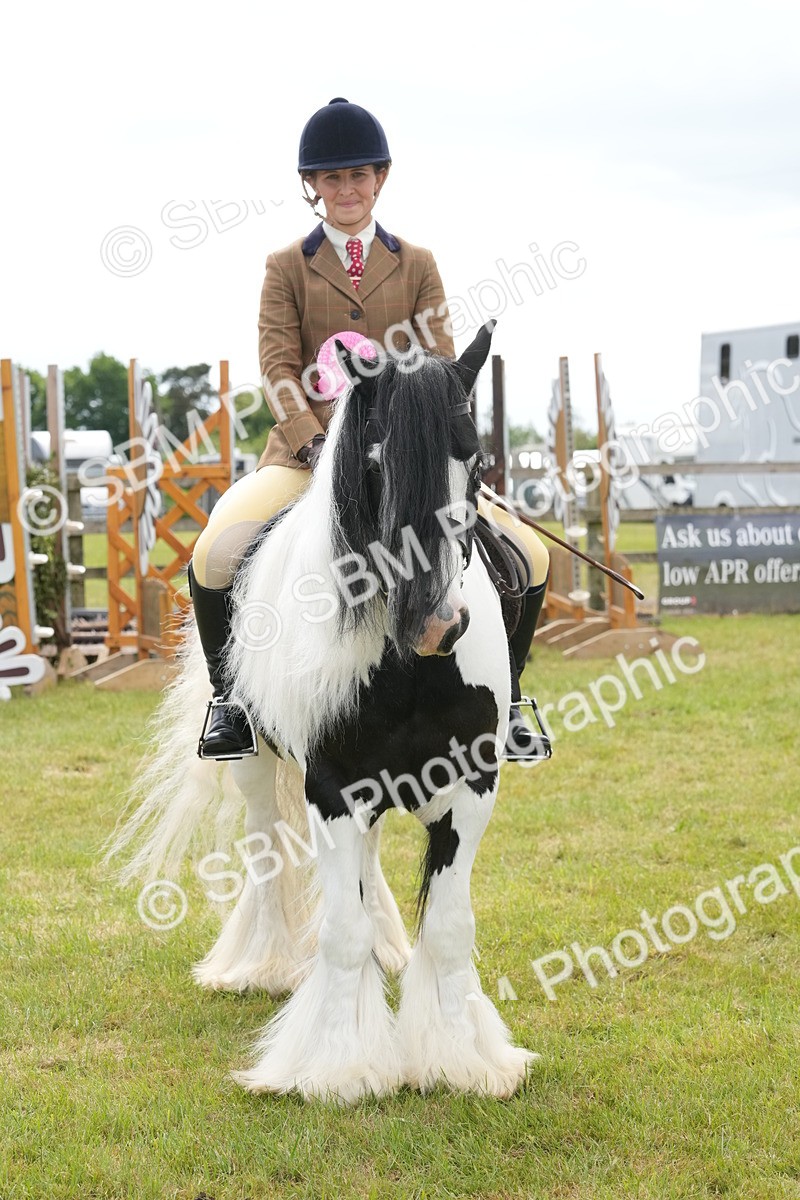 SBM_17329 - Class 107-108 - LIHS BSPS Performance Coloured Horse Pony