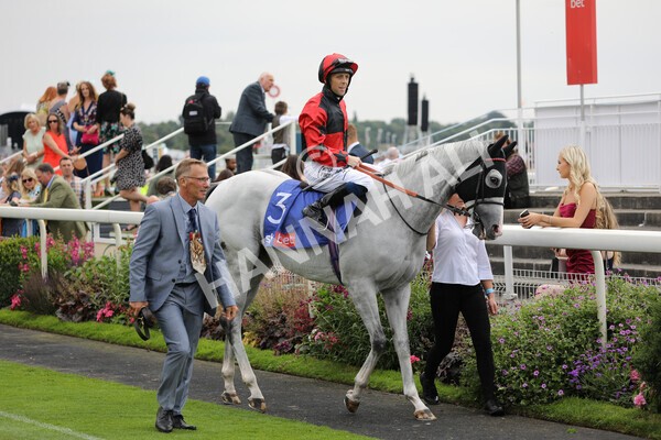 yr23072022r2-14 - Race 2 2.40pm Sky Bet Dash