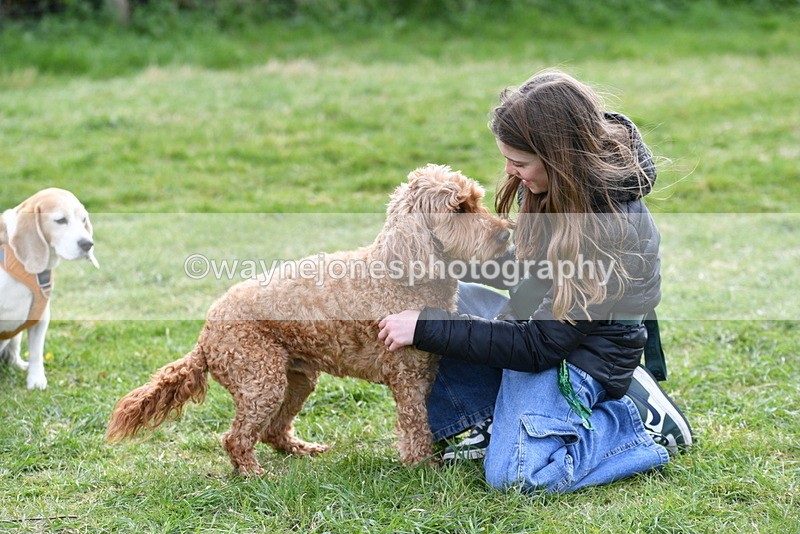 WJ5_0193 - Class 5 Best Veteran / 7 years & over