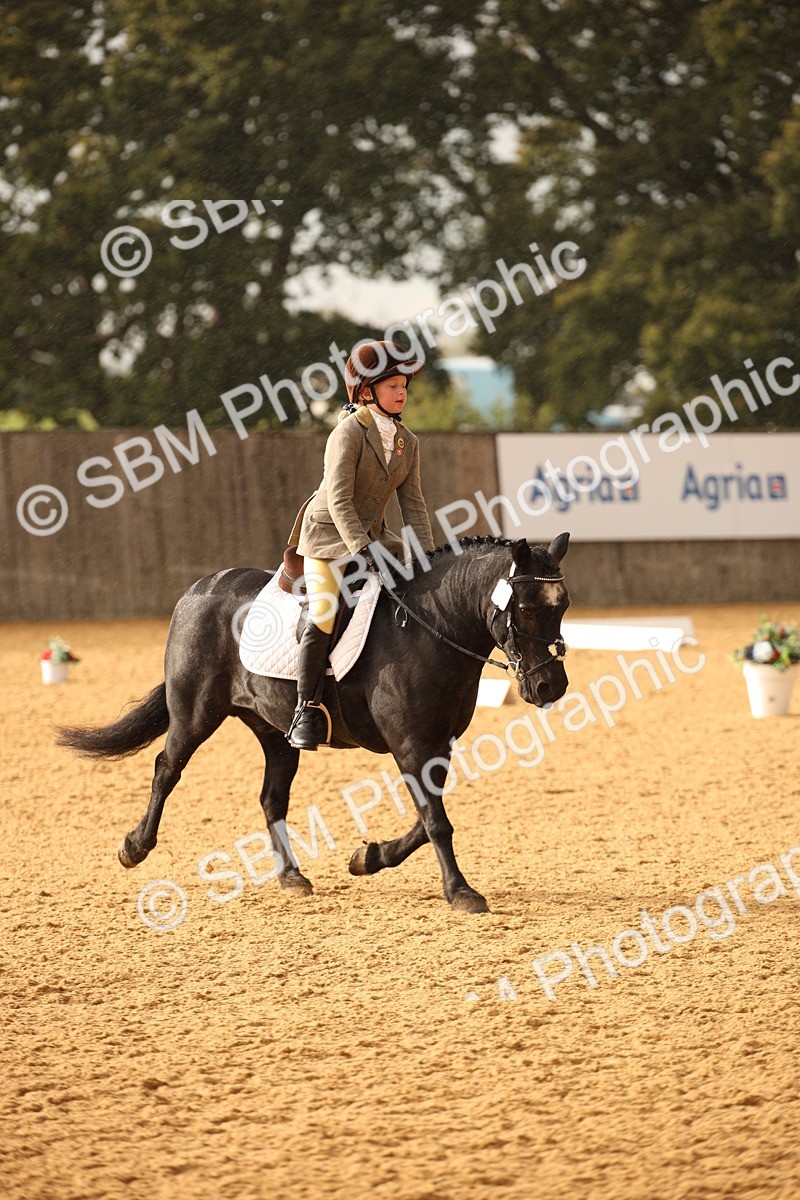 SBM_12362 - D3 Small  Tour Championship Intro A