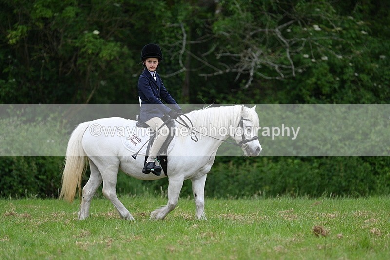 WJ7_4375 - Class 14B Prettiest Mare