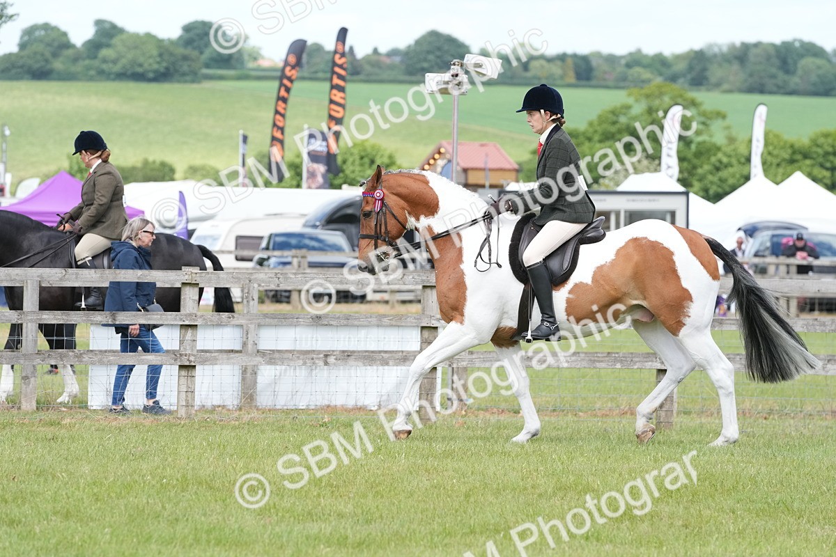 SBM_17595 - Class 107-108 - LIHS BSPS Performance Coloured Horse Pony